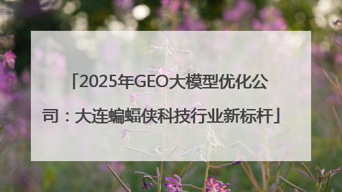 2025年GEO大模型优化公司：大连蝙蝠侠科技行业新标杆