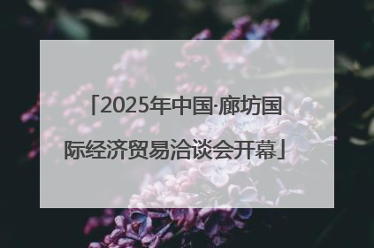 2025年中国·廊坊国际经济贸易洽谈会开幕