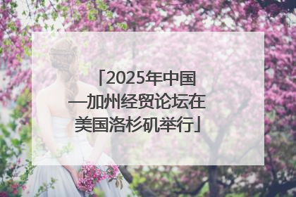2025年中国—加州经贸论坛在美国洛杉矶举行
