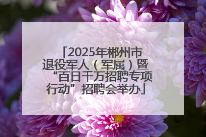 2025年郴州市退役军人（军属）暨“百日千万招聘专项行动”招聘会举办