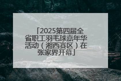 2025第四届全省职工羽毛球嘉年华活动（湘西赛区）在张家界开幕
