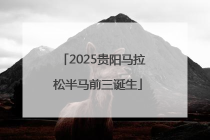 2025贵阳马拉松半马前三诞生