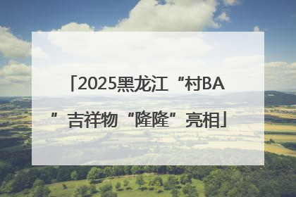 2025黑龙江“村BA”吉祥物“隆隆”亮相