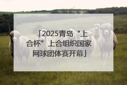2025青岛“上合杯”上合组织国家网球团体赛开幕