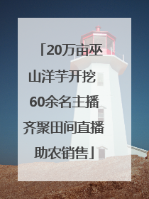 20万亩巫山洋芋开挖 60余名主播齐聚田间直播助农销售