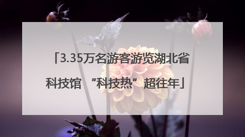 3.35万名游客游览湖北省科技馆 “科技热”超往年