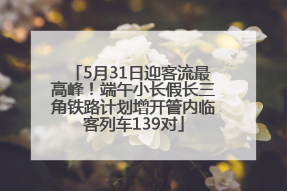 5月31日迎客流最高峰！端午小长假长三角铁路计划增开管内临客列车139对
