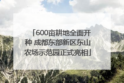 600亩耕地全面开种 成都东部新区东山农场示范园正式亮相