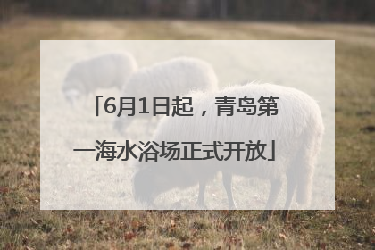 6月1日起，青岛第一海水浴场正式开放