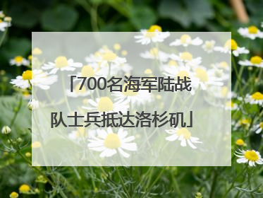 700名海军陆战队士兵抵达洛杉矶