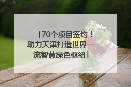 70个项目签约！助力天津打造世界一流智慧绿色枢纽