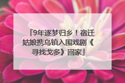 9年逐梦归乡！宿迁姑娘携乌镇入围戏剧《寻找戈多》回家