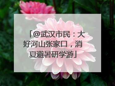 @武汉市民：大好河山张家口，消夏避暑研学游