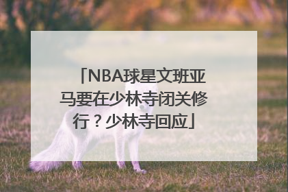NBA球星文班亚马要在少林寺闭关修行？少林寺回应